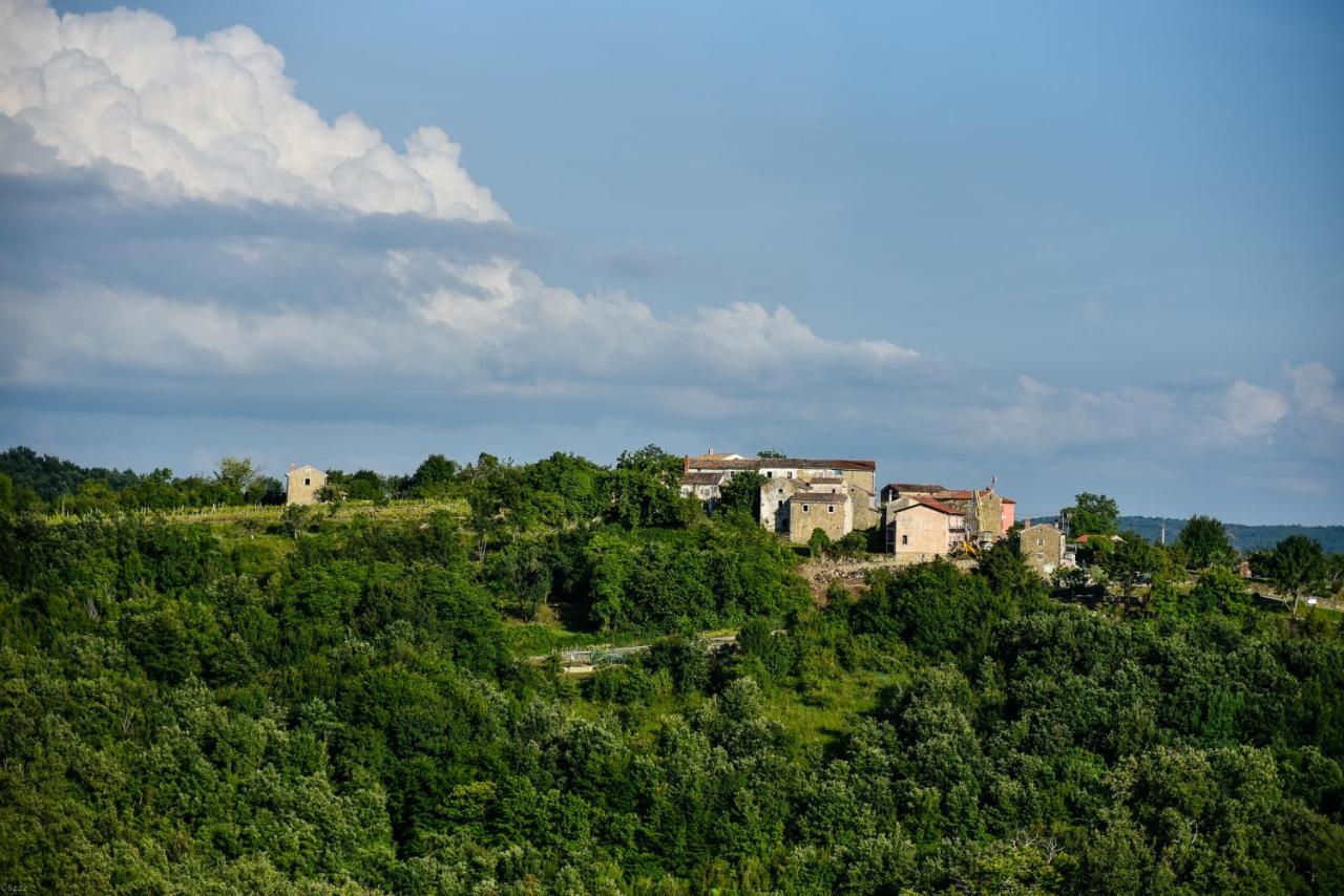 Bed and Breakfast Adq Abbraccio Della Quercia Buje Exterior foto